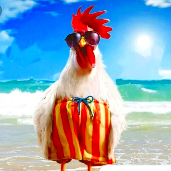 Meet your Posher, Taylor - Picture 2 of 2